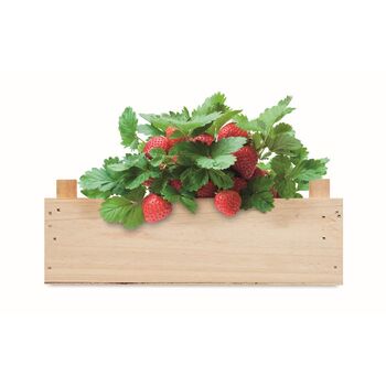 Graines de fraises dans une caisse Graines de fraises dans une caisse - Maison & Cuisine - e-goodies - 1