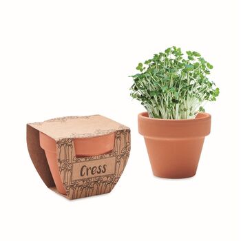 Pot avec graines de cresson  Pot avec graines de cresson  - Developpement durable - e-goodies - 1