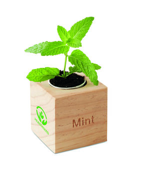 Pot en bois avec graine Menthe Pot en bois avec graine Menthe - Developpement durable - e-goodies - 1